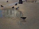 Paris 2011_16