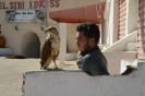 Tunisia 2022