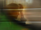 homeslide_10
