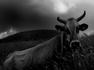 homeslide_42