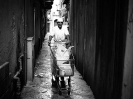 homeslide_48