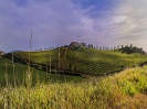 homeslide_60