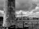 Oreto Bandita 2014_19