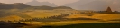 Terre Corleonesi 2007-2021-24