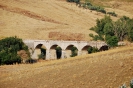 Terre Corleonesi 2007-2021-30