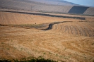 Terre Corleonesi 2007-2021-3