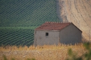 Terre Corleonesi 2007-2021-6