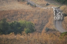 Terre Corleonesi 2007-2021-8
