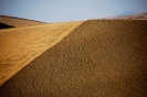 Terre Corleonesi 2007-2021-9