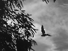 tra Pietralonga e Ponte Arancio-1
